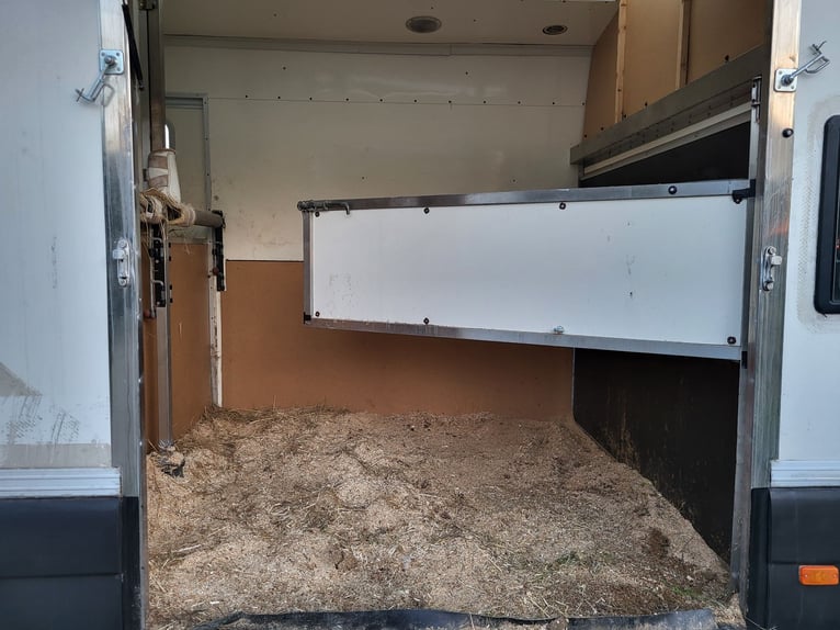 Renault dci120 Pferdetransporter