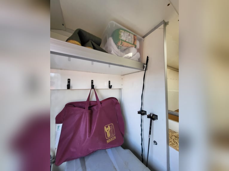 Renault dci120 Pferdetransporter