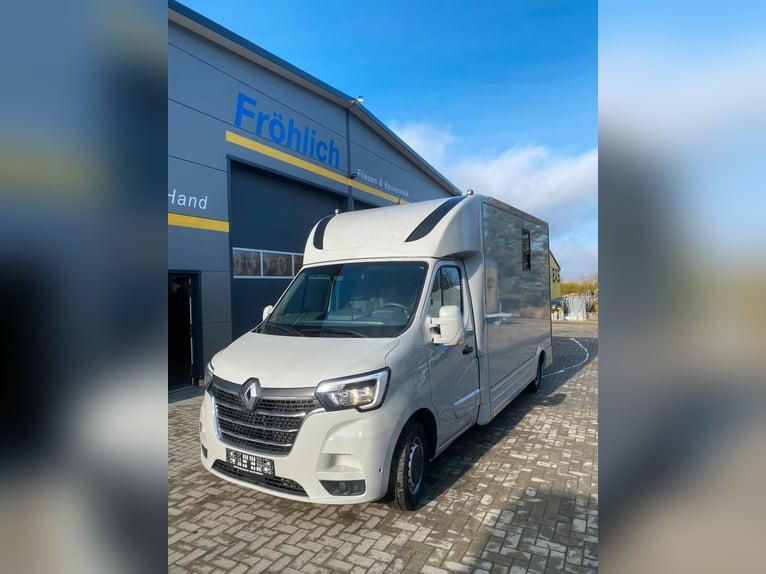 Renault transport de chevaux 3,5t, 1-2 Pf., 180 PS, Auf. NOUVEAU