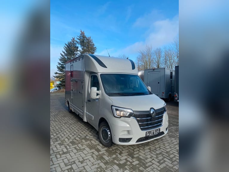 Renault transport de chevaux 3,5t, 1-2 Pf., 180 PS, Auf. NOUVEAU