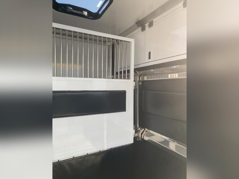 Renault transport de chevaux 3,5t, 1-2 Pf., 180 PS, Auf. NOUVEAU