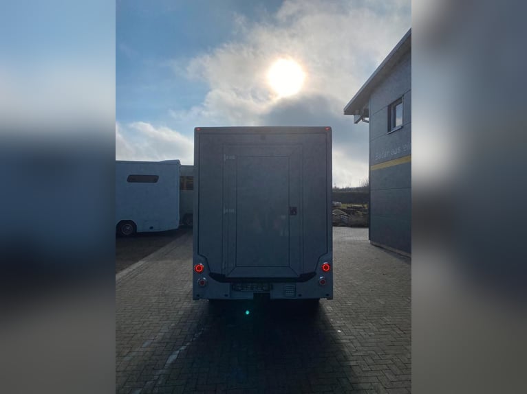 Renault transport de chevaux 3,5t, 1-2 Pf., 180 PS, Auf. NOUVEAU