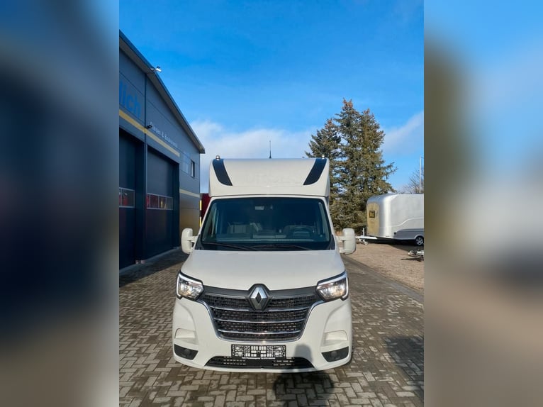 Renault transport de chevaux 3,5t, 1-2 Pf., 180 PS, Auf. NOUVEAU