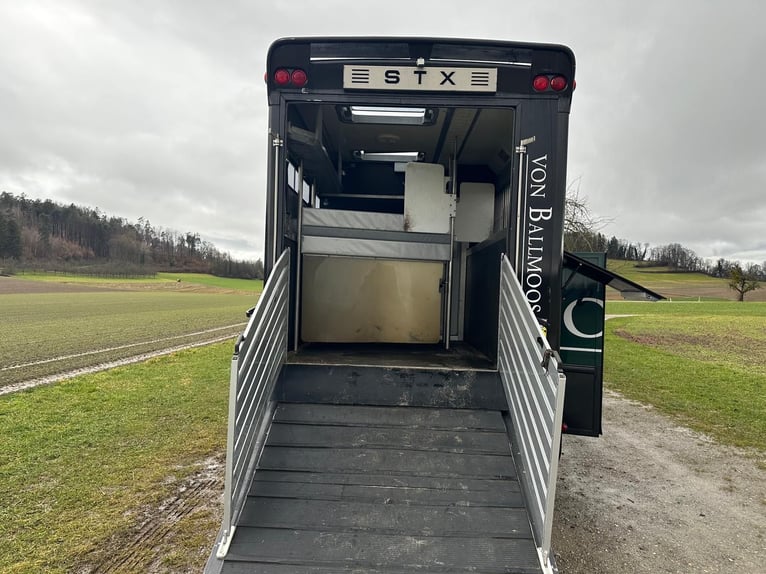 STX LKW Pferdewohnmobil Ivevo Stralis