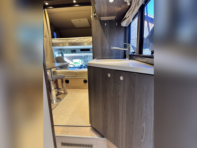 STX LKW Pferdewohnmobil Ivevo Stralis