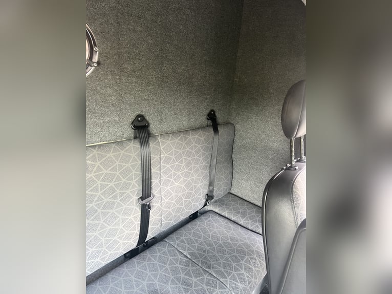 Świetny przewoźnik koni Renault MTM