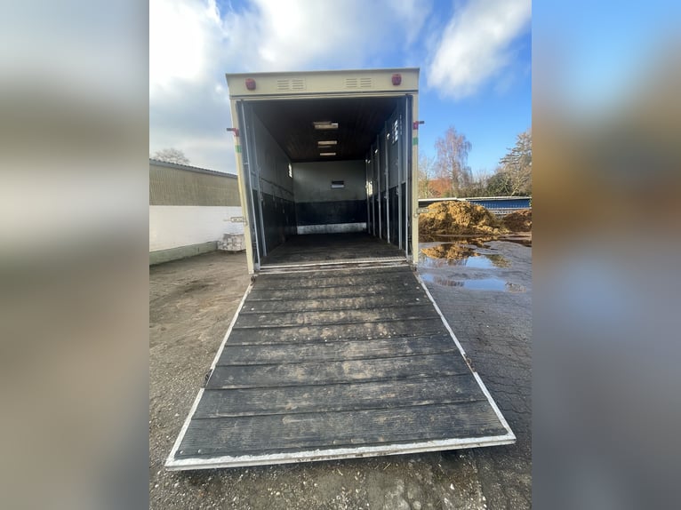 Top gepflegter Pferdetransporter variabel bis 5 Pferde
