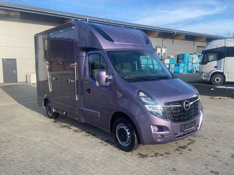 Transporter for horses Opel Movano 3.5 tons, 2 horses, registration 2021
