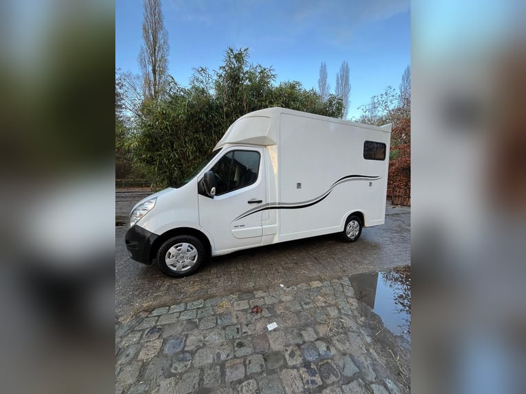 Transportowiec koni Renault Ameline