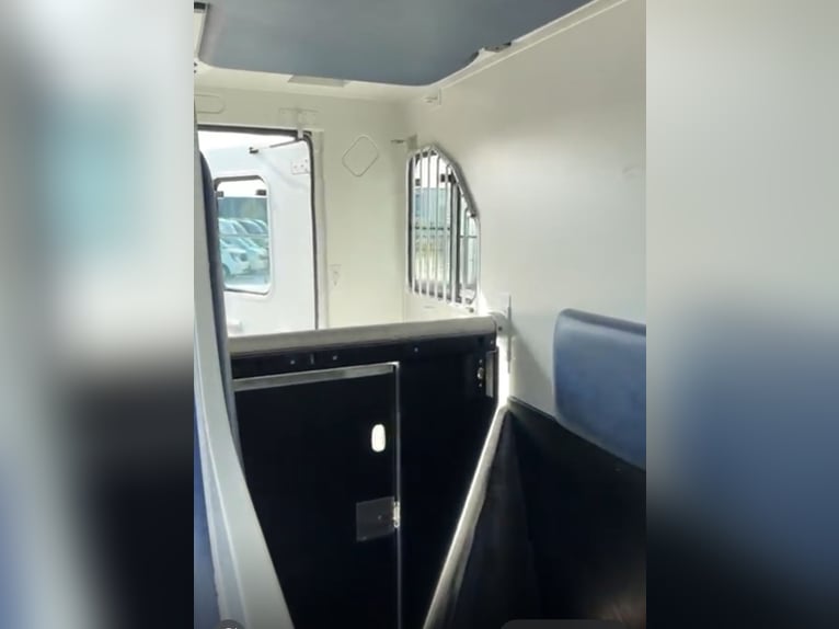 Transportowiec koni Renault Theault