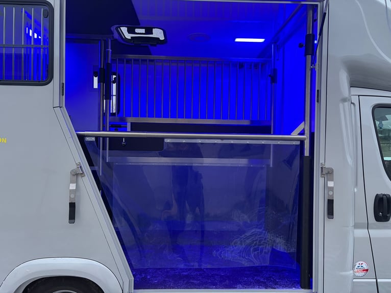 Używany transporter koni w doskonałym stanie