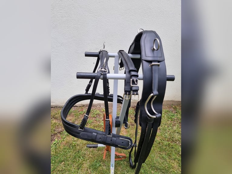 Einspänner Brustblatt-Kutschgeschirr der Sattlerei Meinecke für Warmblut. 