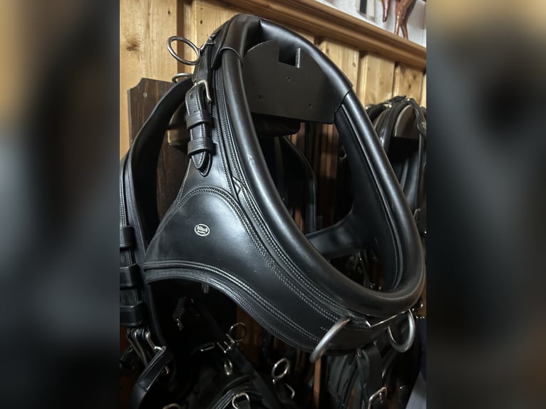 Fa Mönch Marathon Kombis