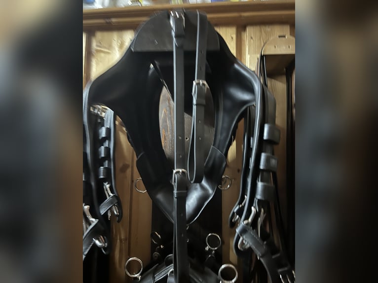 Fa Mönch Marathon Kombis