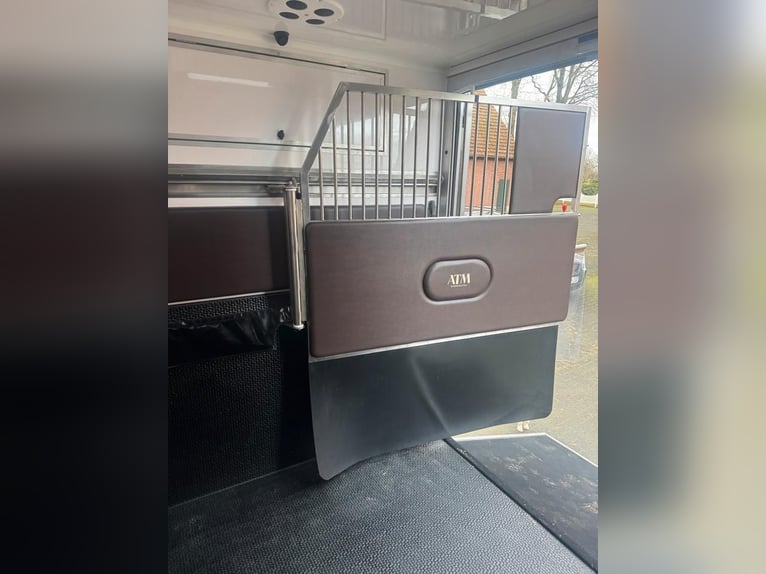 Renault Master Haras ATM na 1-2 konie, 150 KM
