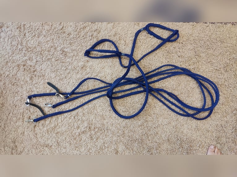  Zweispänner Pony Geschirr von Sieltec 