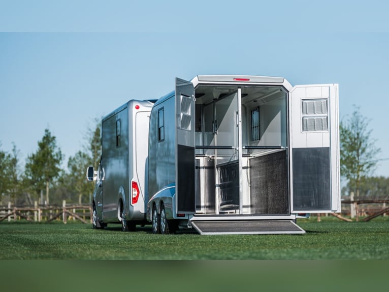 Przyczepa transportowa STX Stud z 2021 roku