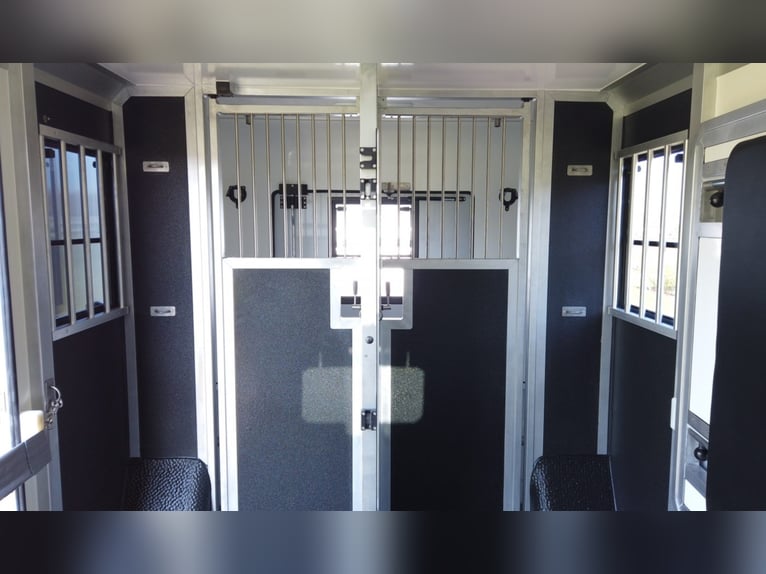 Przyczepa transportowa STX Stud z 2021 roku