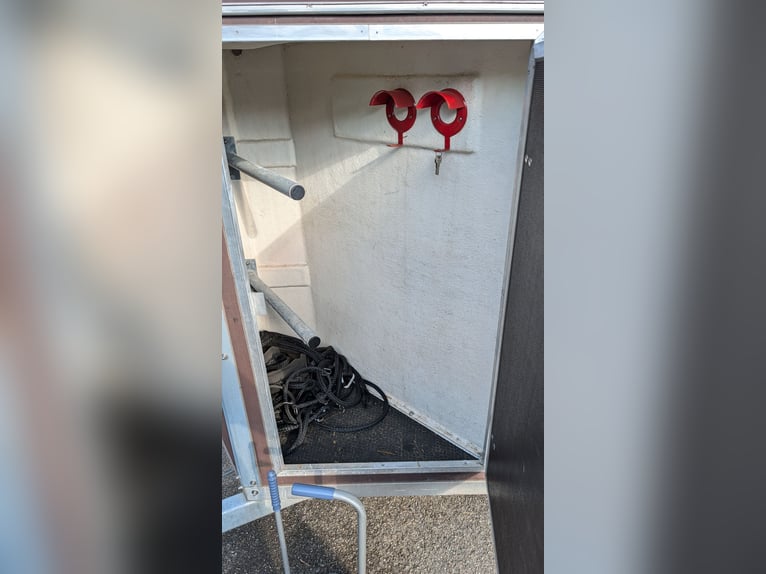 WM Meyer Memphis przyczepa dla koni (2 miejsca) | aluminiowa podłoga | ważność TÜV do 12/26