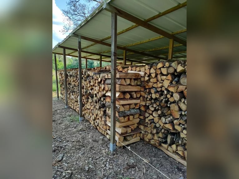 Bois de chauffage bien sec