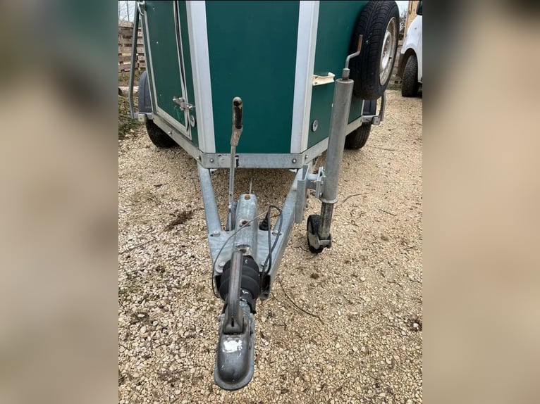 Koń Liberté 2002-L