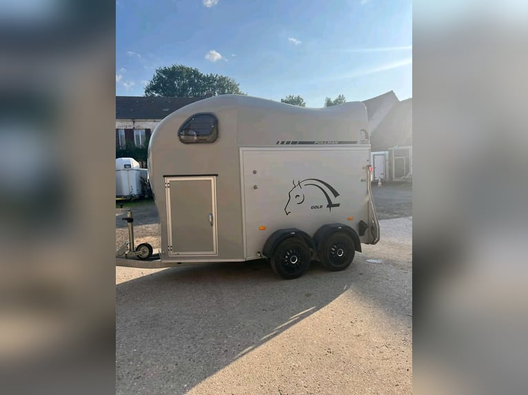 Koń Liberté Gold 2