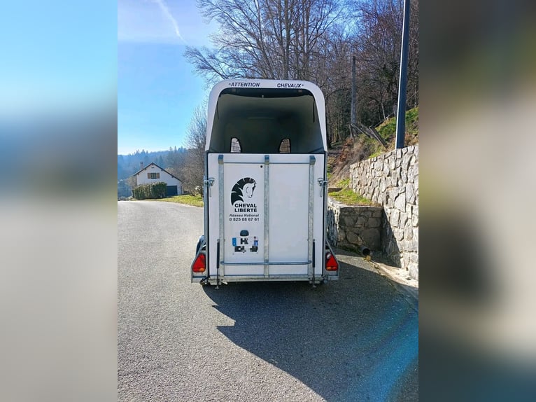 Koń Liberté Gold One, 1,5-osobowa