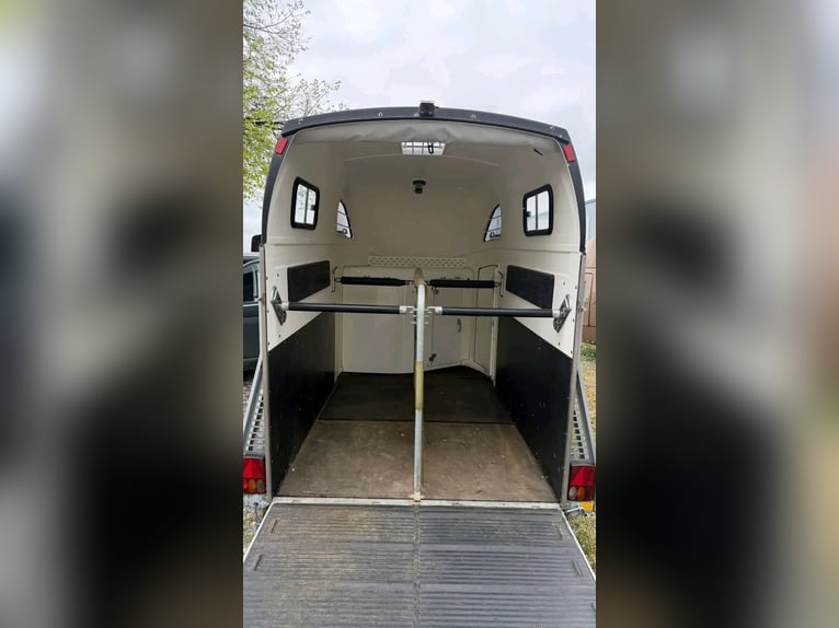 Przyczepa dla dwóch koni Böckmann Big Master