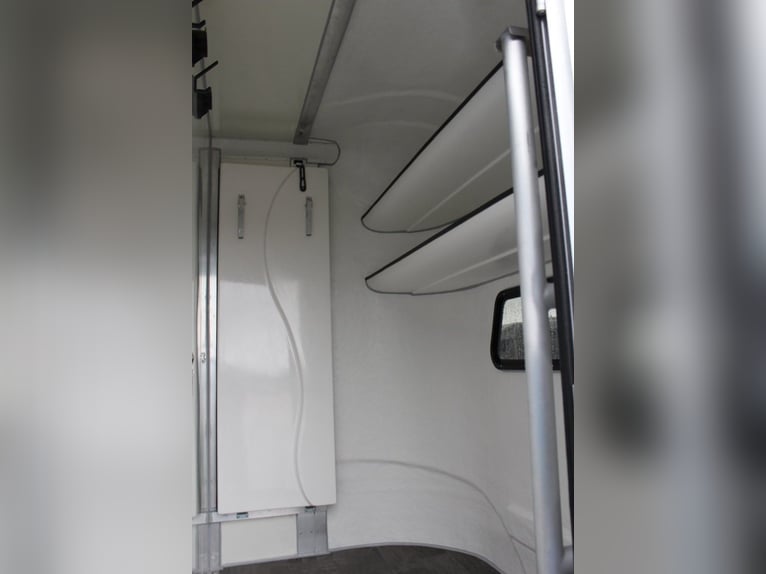 Przyczepa dla koni z dwoma rampami, nowy model, transporter dla ogierów i koni, specjalny model cięż