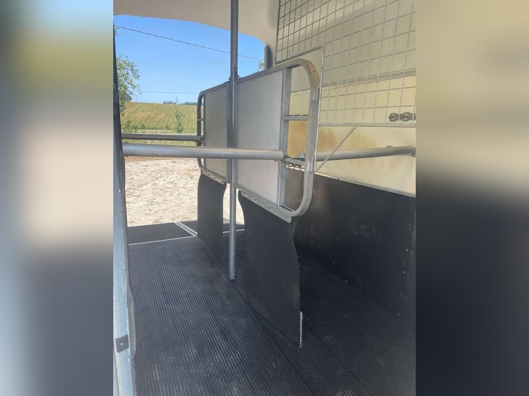 Przyczepa IFOR WILLIAMS R 505