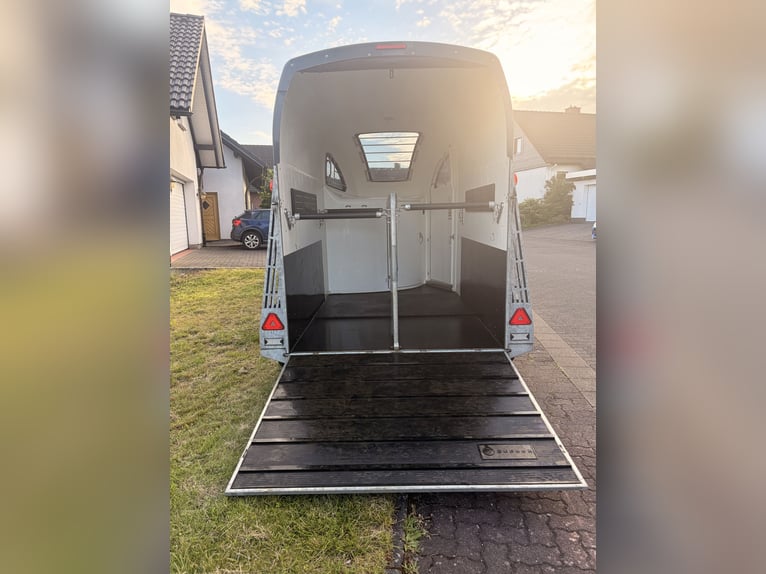 Przyczepa transportowa Bücker Careliner L *szara* *z kamerą* *nowy przegląd TÜV*