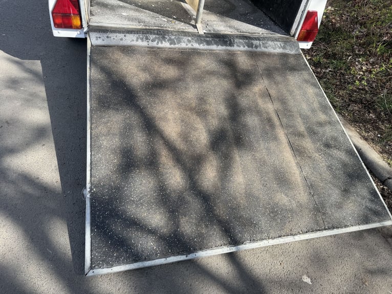 Przyczepa dla koni Thiel Domino