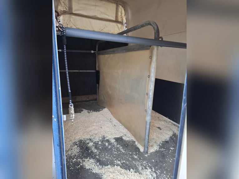 Przyczepa do przewozu koni z szafą na sprzęt jeździecki