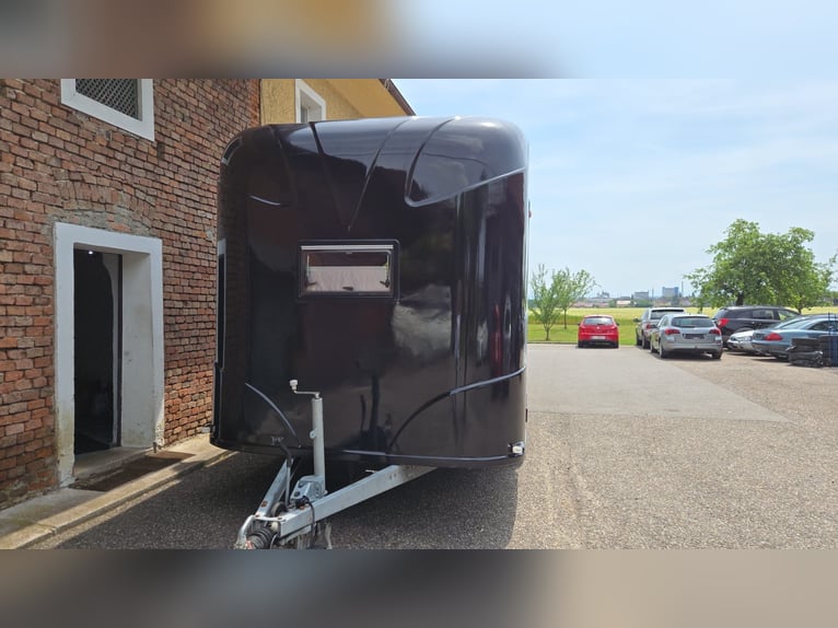 Przyczepa transportowa Steinsberger dla 3 koni z przyczepą mieszkalną
