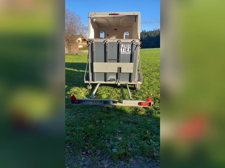 Pferdeanhänger mit Kutschenaufsatz hinten