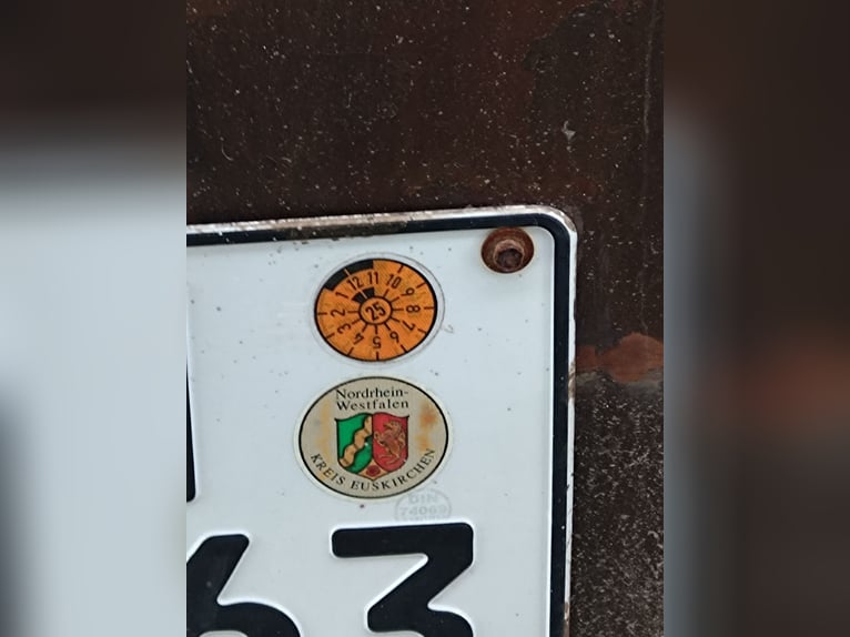 2 er Pferdeanhänger Böckmann