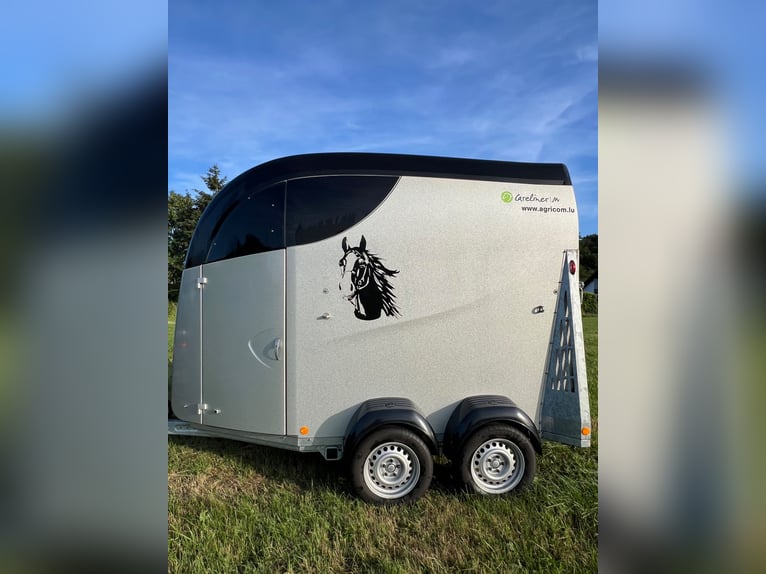 Careliner M przyczepa konna na sprzedaż