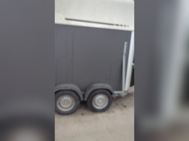 Cheval Liberte front exit