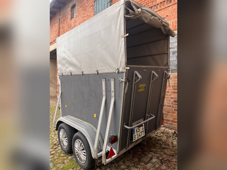 grauer Einzelpferdeanhänger