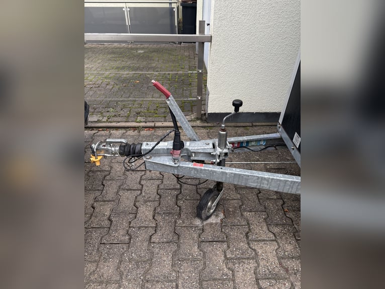 Przyczepa do przewozu 1,5 konia Humbaur