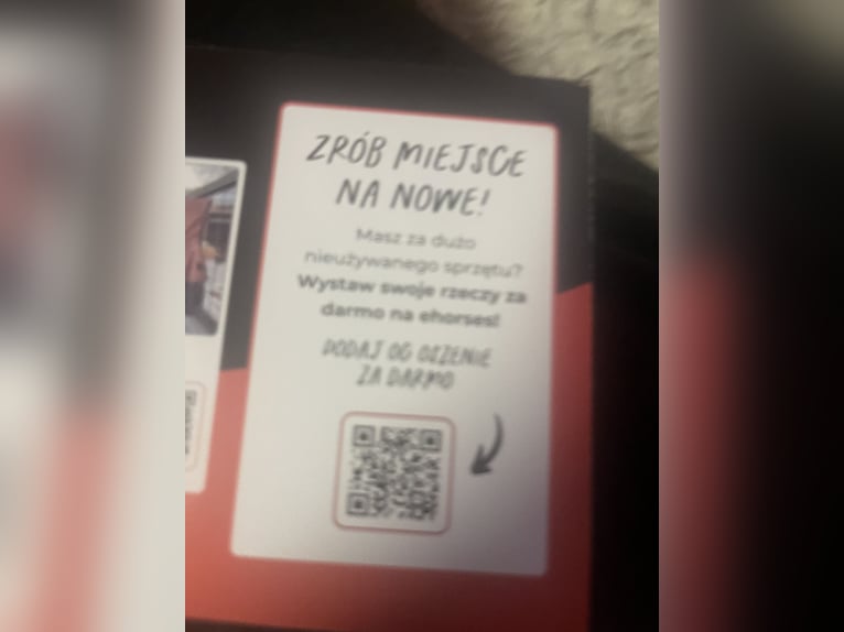 Białe bryczesy Leonie Horze 