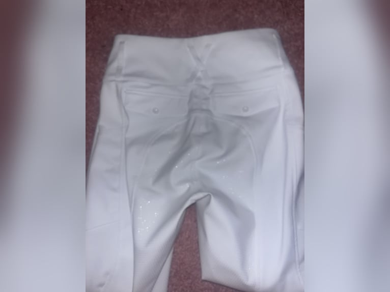 Nowe bryczesy Leonie horze białe konkursowe