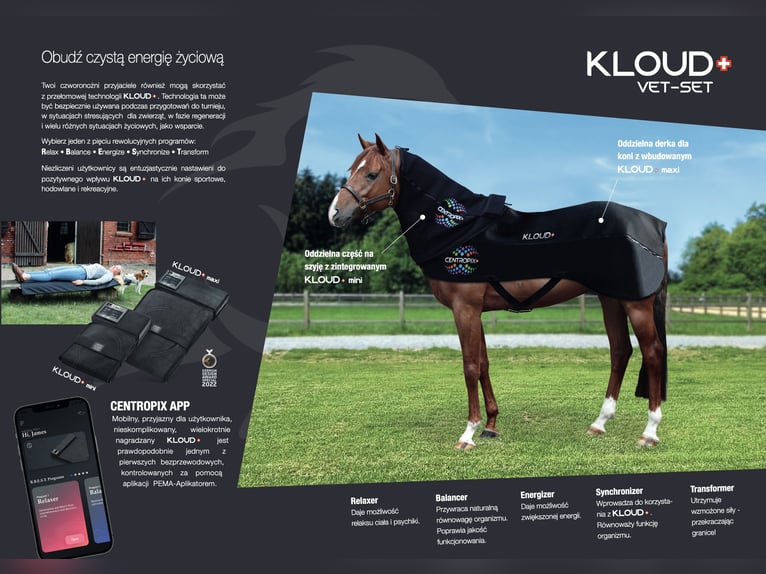 KLOUD dla jeźdźcy i konia fizykalna aktywizacja wypożyczalnia urządzeń