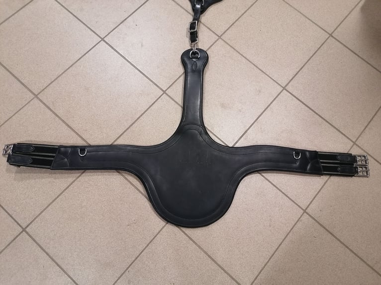 Popręg skokowy Kavalkade X-Secure 125cm zestaw 