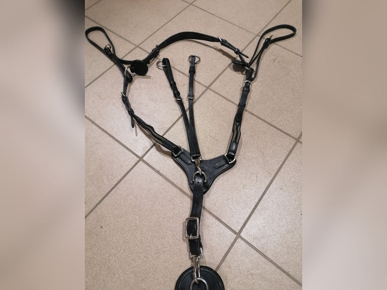 Popręg skokowy Kavalkade X-Secure 125cm zestaw 