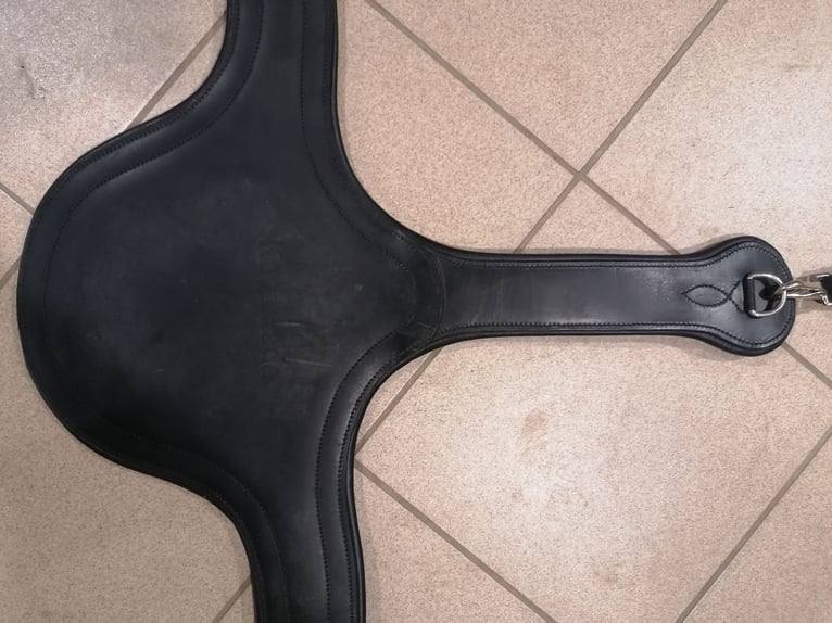 Popręg skokowy Kavalkade X-Secure 125cm zestaw 