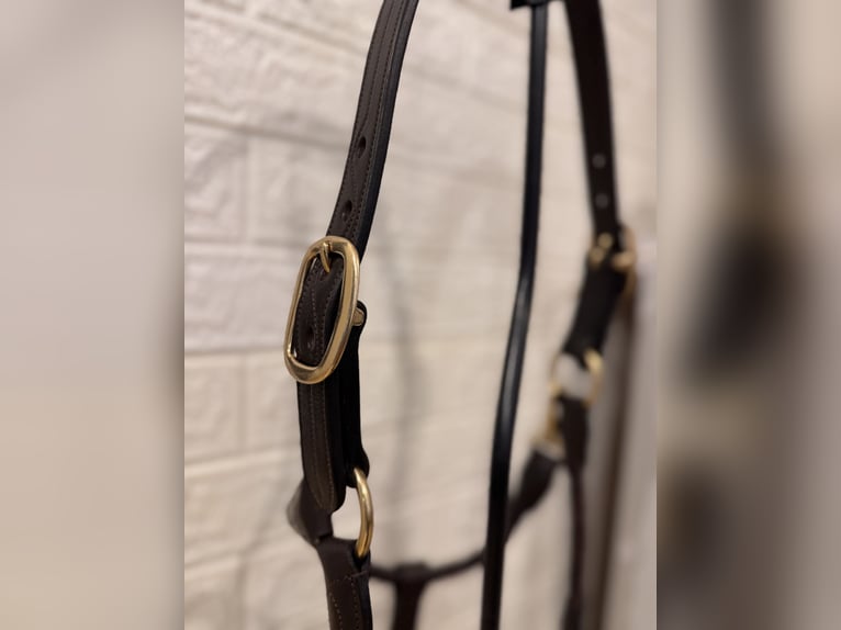 High-quality leather halter