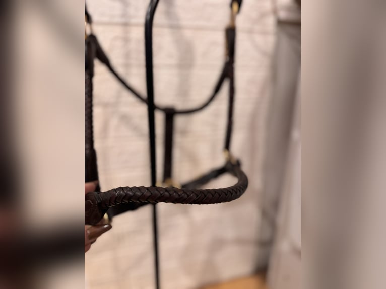High-quality leather halter