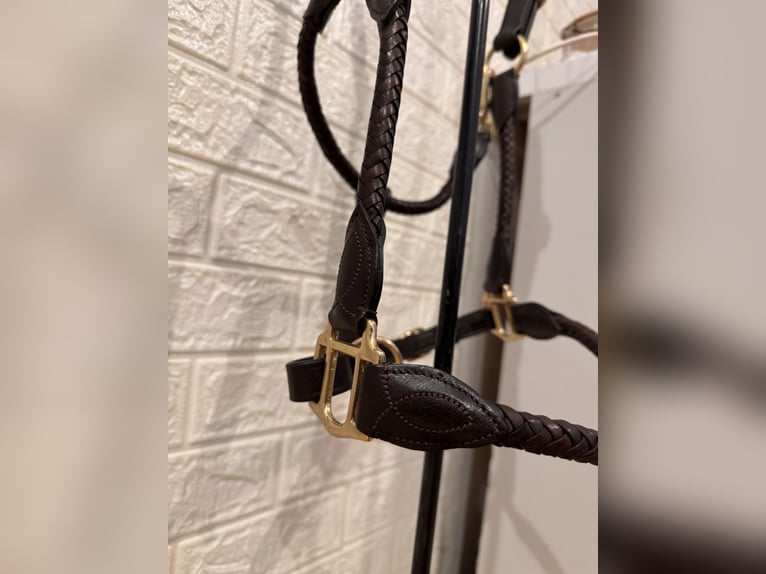 High-quality leather halter