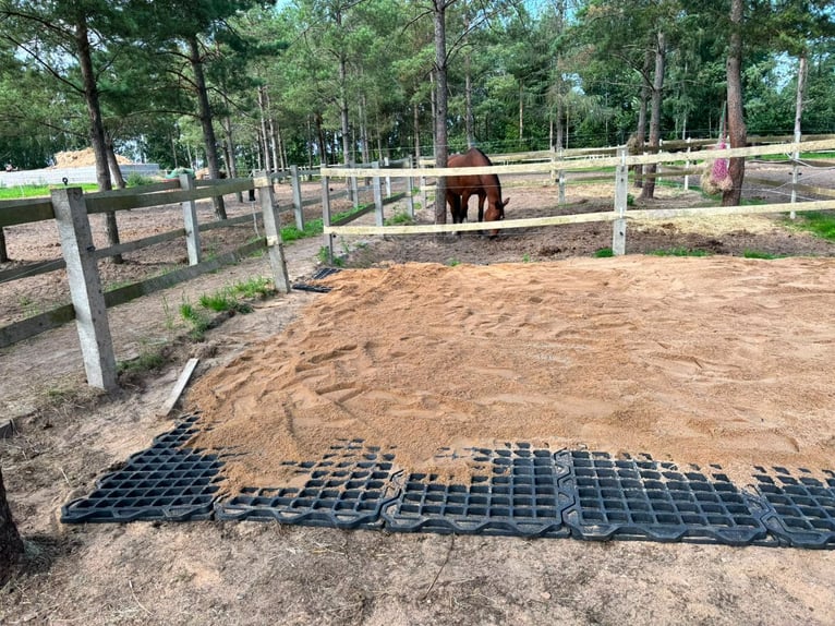 Drainagematte ECO Large – für Stallungen, Paddocks & Parkplätze